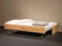 Couch und Ausziehbett